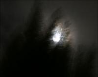 Moon Dance