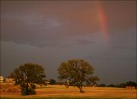 Rainbow at sunset, Lewisville TX