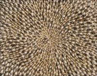 Seed-head mandala