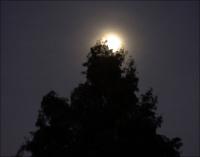 An almost full moon, 12th of September, 2008