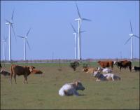 Wildorado Wind Ranch near Adrian, Texas