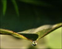 Raindrop jewel