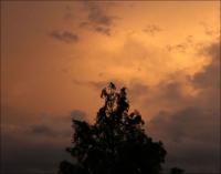 Evening storm, Cypress