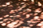 Shadows on brick sidewalk, downtown Dallas TX
