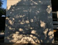 Pecan tree shadow, Pioneer Cemetery, Dallas, TX
