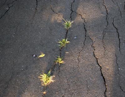 Nature insists