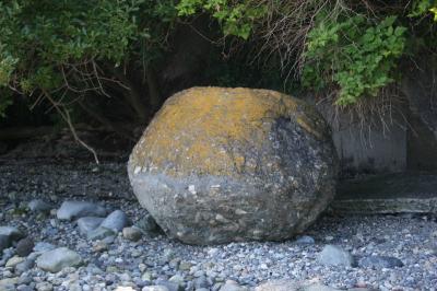Victoria beach, Vancouver Island, BC