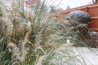 Razor Grass