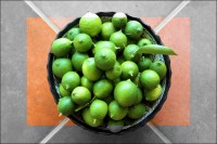 Freshly picked Lime