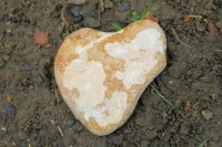 Heart-shaped rock