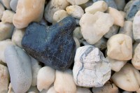 Heart-shaped rocks