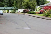 Deer eating new growth in neighborhood gardens