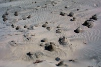 Oceanside, OR, USA beach: sand sculpted by water and wind