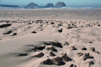 Oceanside, OR, USA beach: sand sculpted by water and wind