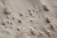 Oceanside, OR, USA beach: sand sculpted by water and wind