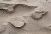 Oceanside, OR, USA beach: sand sculpted by water and wind