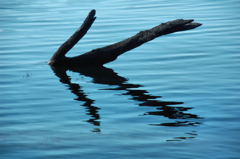 Morning calm, Nimkish Lake, BC