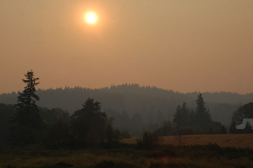 Forest fires affecting air quality, Hwy 47 near Amity, Oregon Forest fires affecting air quality, Hwy 47 near Amity, Oregon