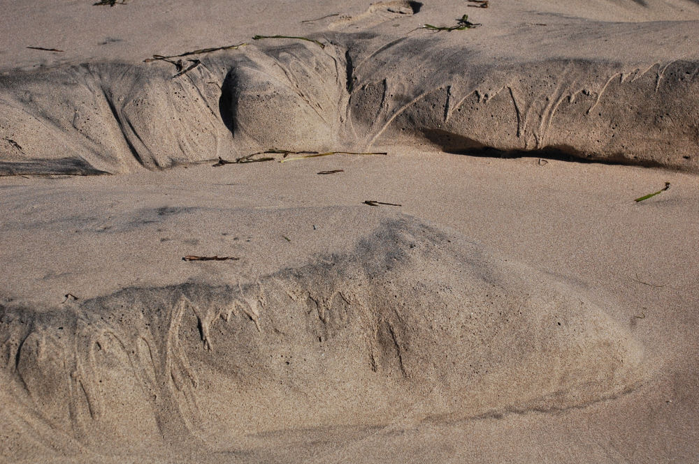 Unusual sand formations created by tide and wind, Oceanside beach, OR Unusual sand formations created by tide and wind, Oceanside beach, OR