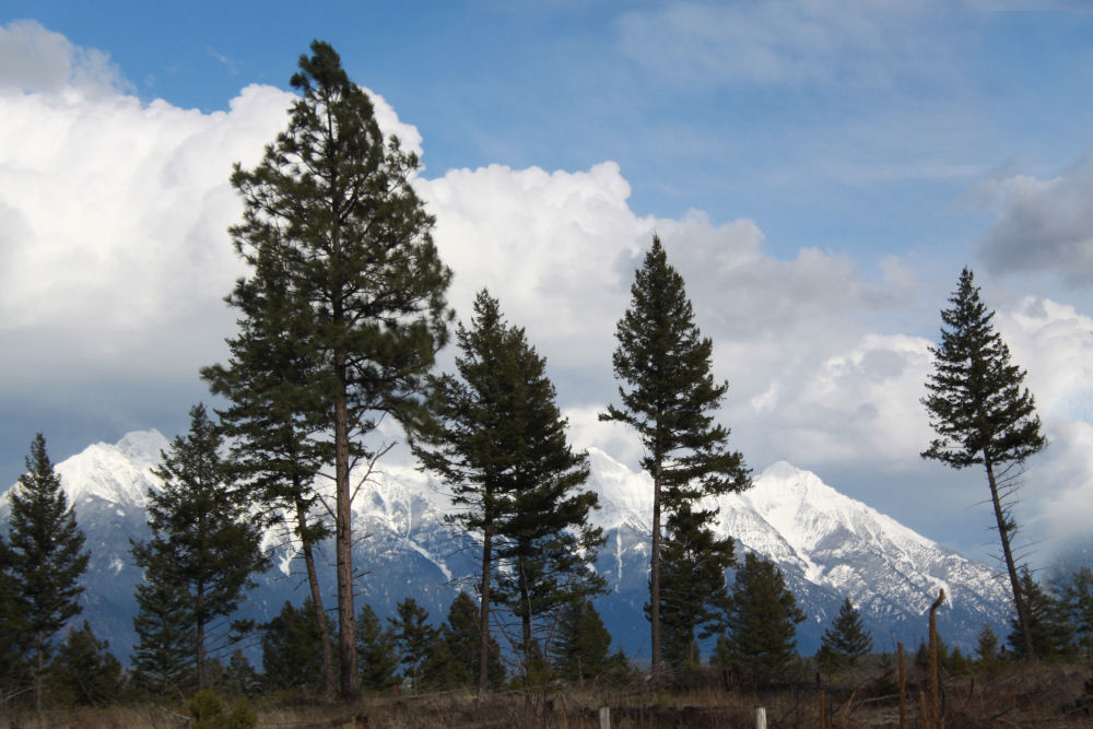 Rocky Mountain Trench, Cranbrook BC, Spring storm Rocky Mountain Trench, Cranbrook BC, Spring storm