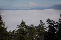 View from Mount Douglas, Vancouver Island, BC