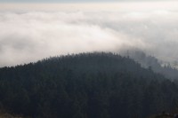 View from Mount Douglas, Vancouver Island, BC