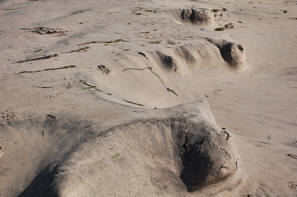 Unusual sand formations created by tide and wind, Oceanside beach, OR Unusual sand formations created by tide and wind, Oceanside beach, OR
