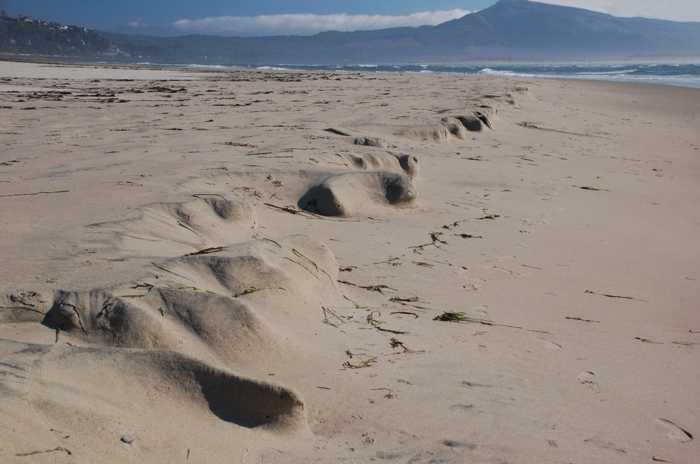 Unusual sand formations created by tide and wind, Oceanside beach, OR Unusual sand formations created by tide and wind, Oceanside beach, OR