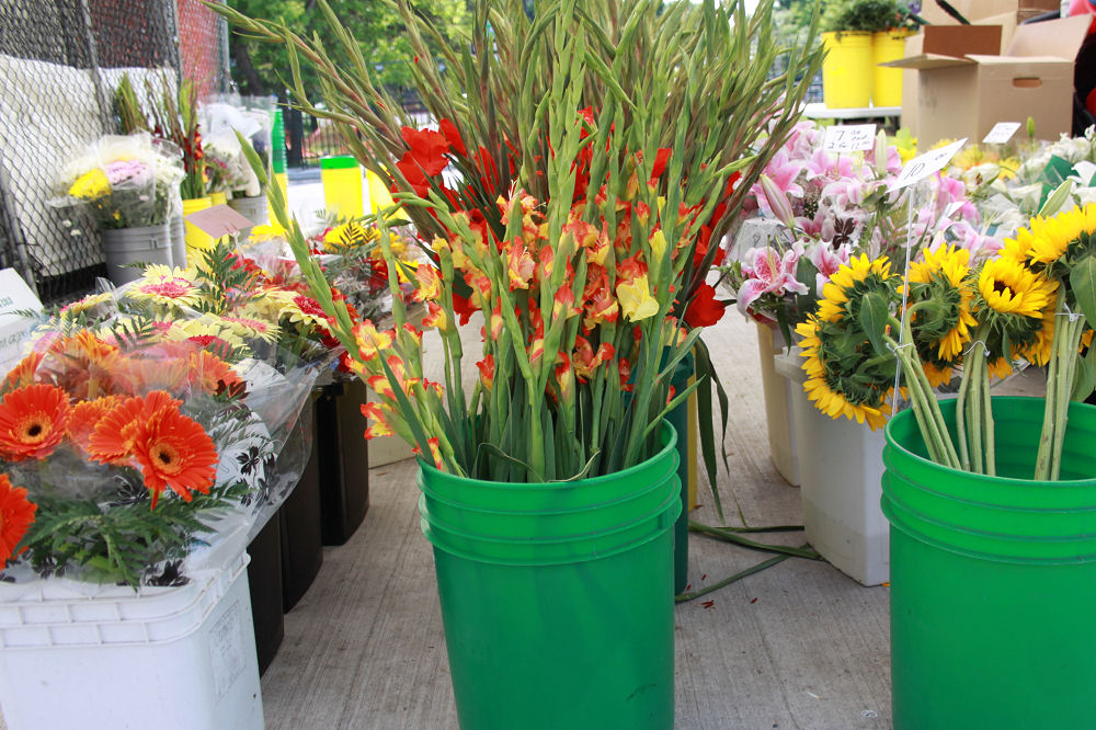 Parkdale Market in Canada's capital, Ottawa, Ontario Parkdale Market in Canada's capital, Ottawa, Ontario