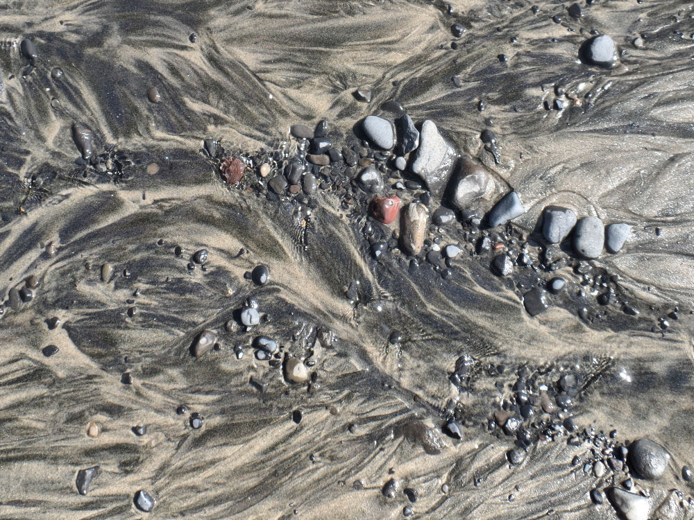 3 different colors and densities of sand separate by fresh water trickling into the Pacific Ocean, Netarts Bay, OR US 3 different colors and densities of sand separate by fresh water trickling into the Pacific Ocean, Netarts Bay, OR US